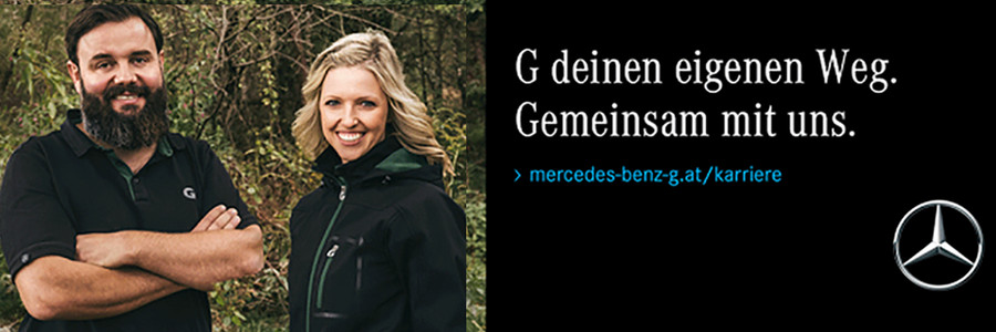 Praktikum, Bachelorarbeit bei Mercedes-Benz G GmbH
